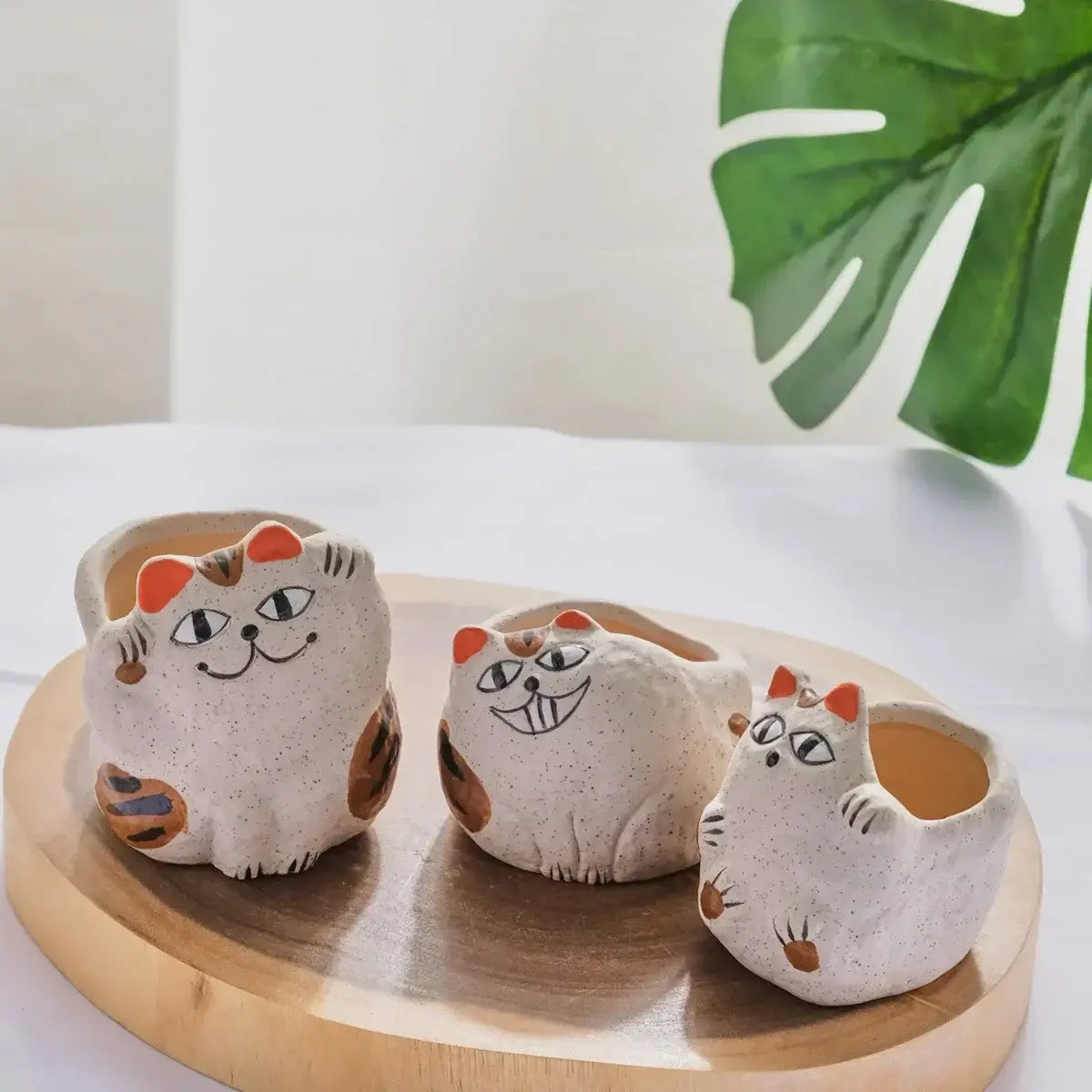 fortune cat succulent flower pot
