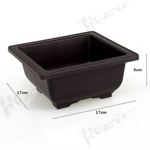 Training Pots With Tray Plastic Bonsai Plants Pot Square For Flower.