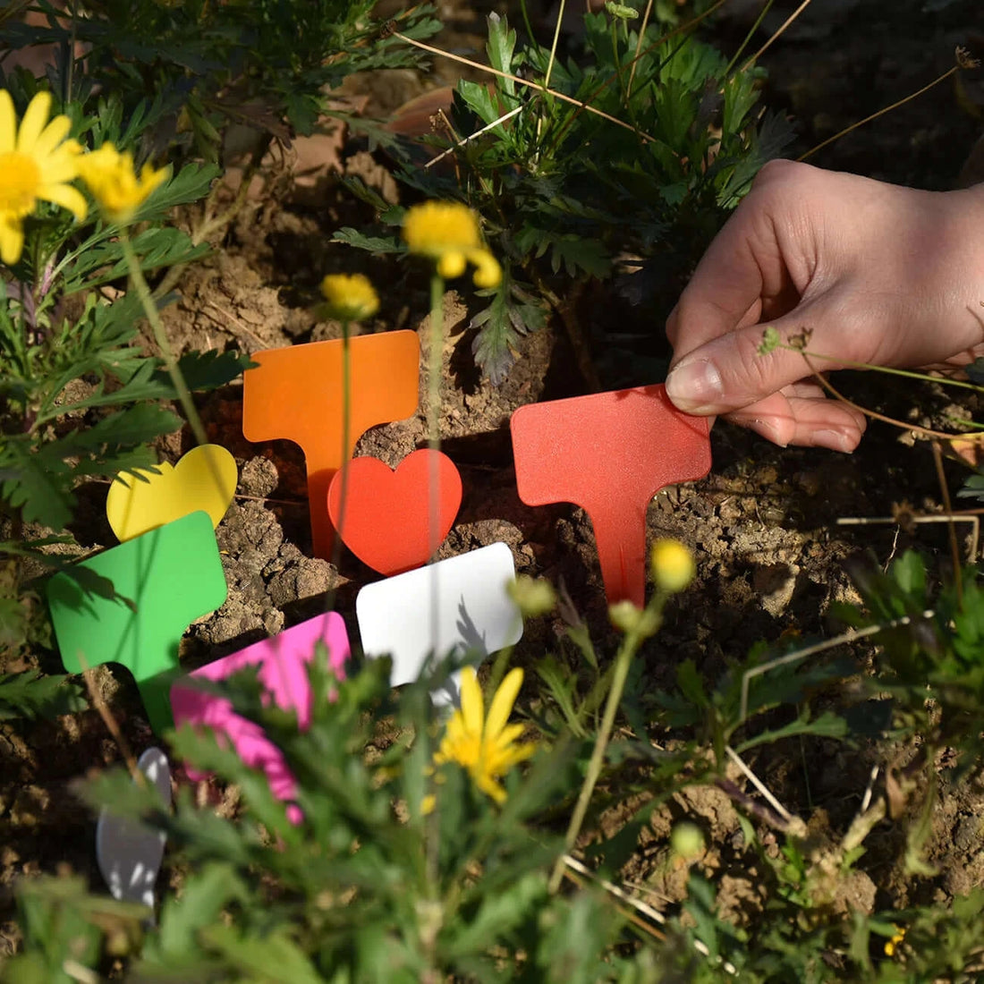 30PCS T-Shape Plastic Waterproof Plant Tags Marker Sign 59*98mm Flower