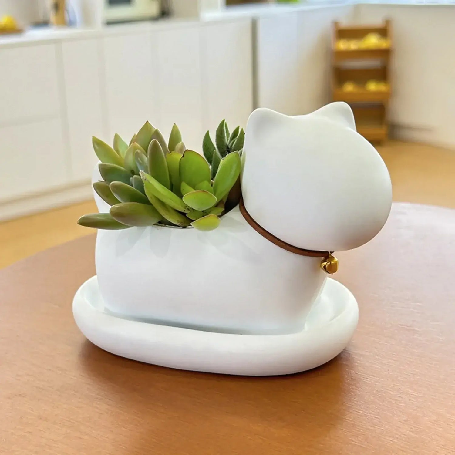 cute cat succulent plant pots