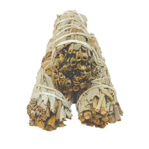 White Sage Smudge Pack of 3.