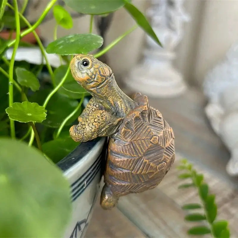 tortoise flower pot hugger statue