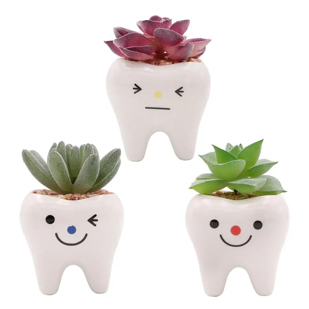 cute tooth flowerpots