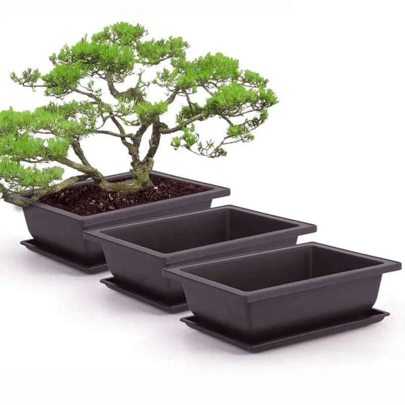 Training Pots With Tray Plastic Bonsai Plants Pot Square For Flower.