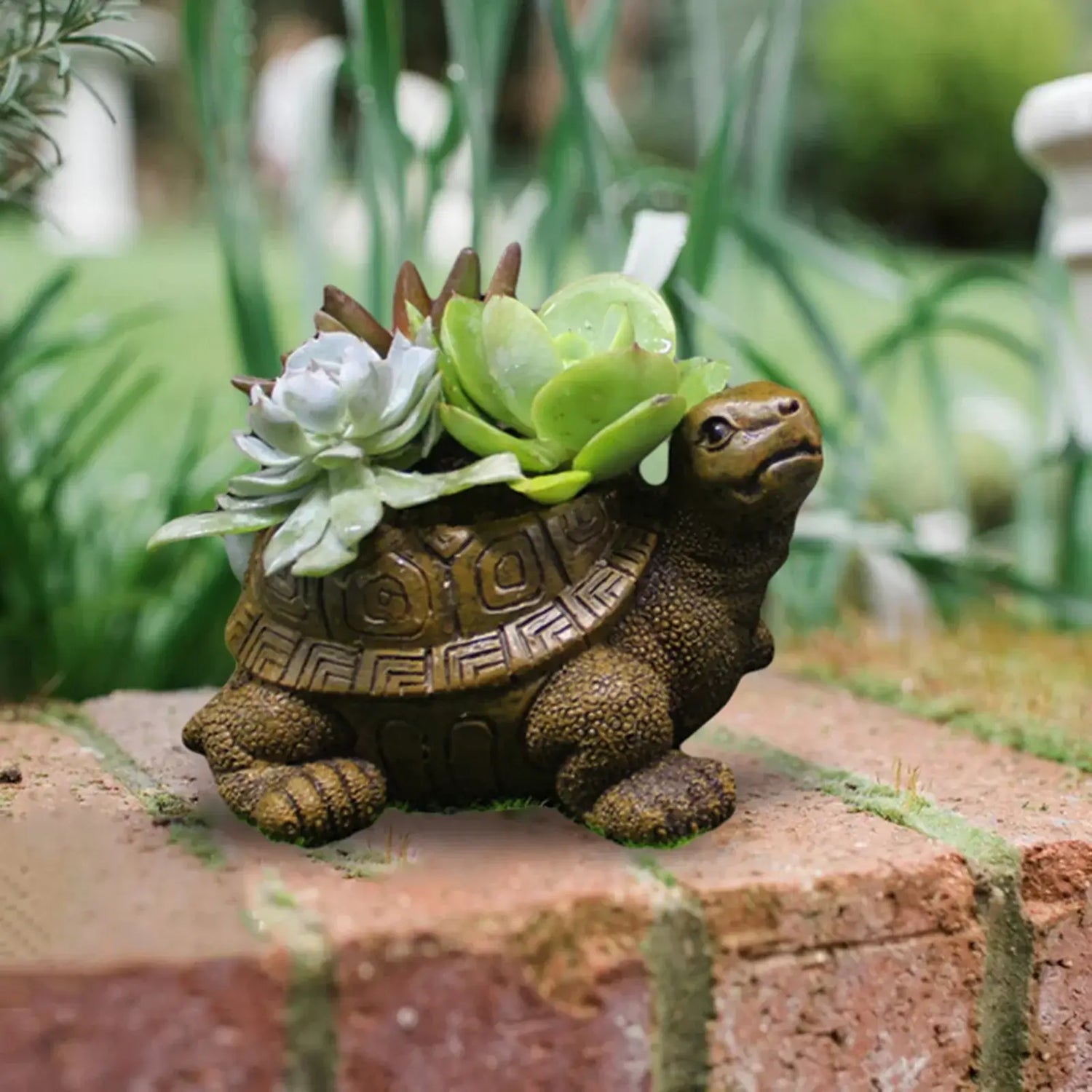 turtle planter pot