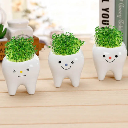 cute tooth flowerpots