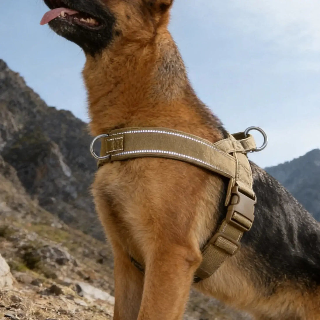 Tactical No-Pull Dog Harness for Large Breed: Heavy-Duty Vest with Reflective Strip, Adjustable &amp; Padded for Control and Pullers