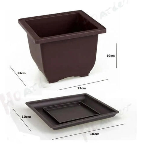 Training Pots With Tray Plastic Bonsai Plants Pot Square For Flower.