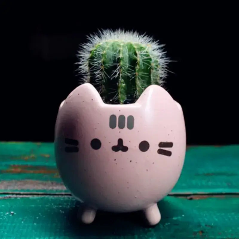 cute cat succulent pot