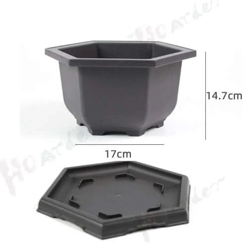 Training Pots With Tray Plastic Bonsai Plants Pot Square For Flower.