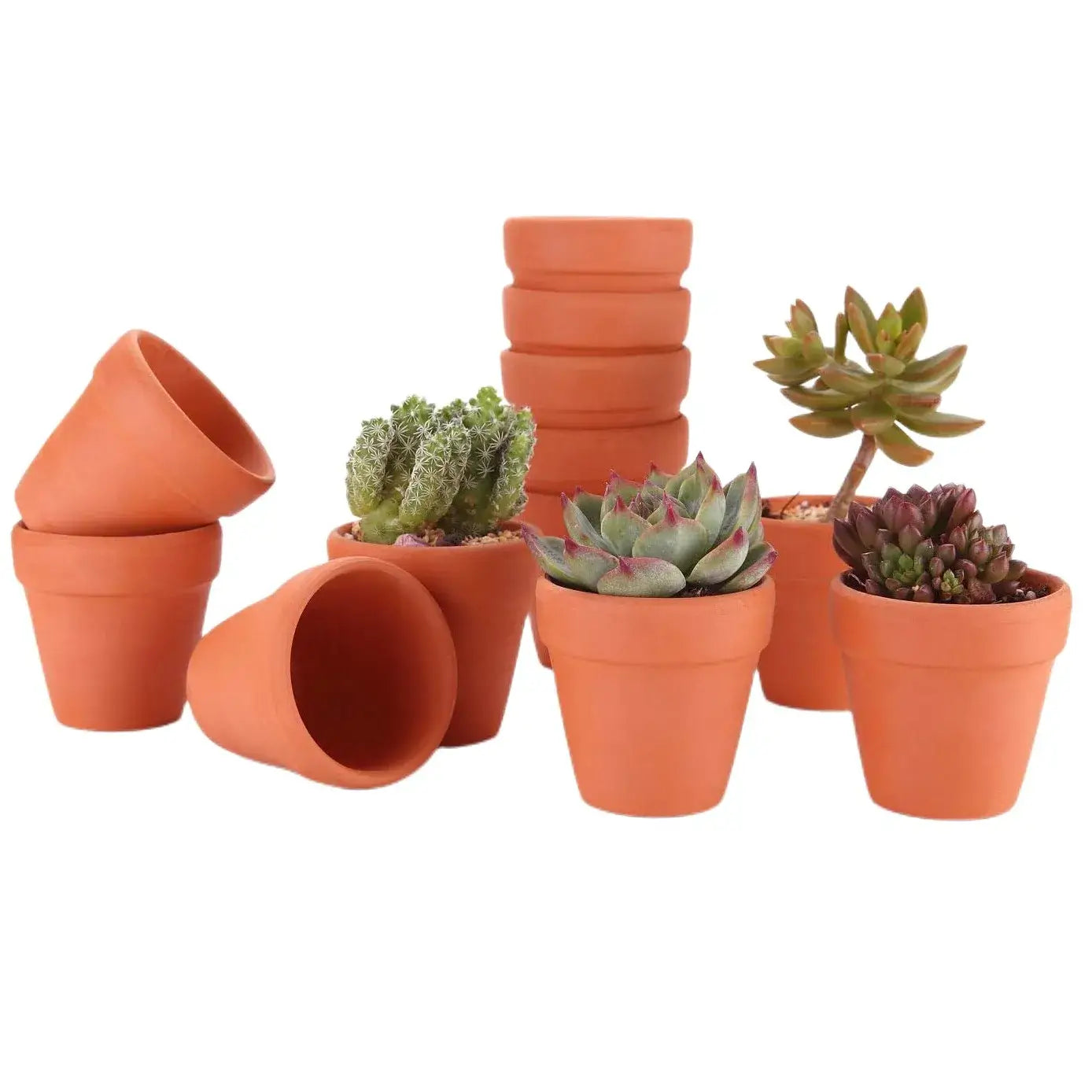 terra cotta pots for succulents