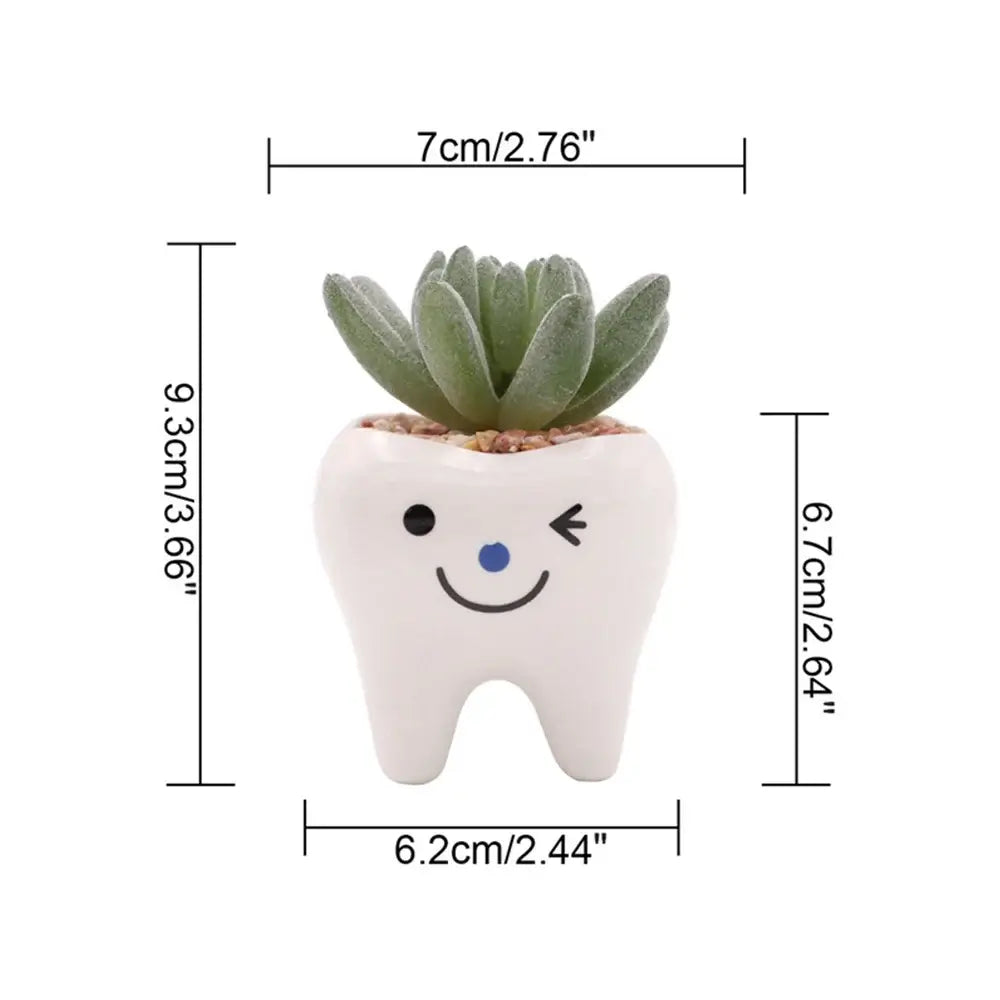 cute tooth flowerpots