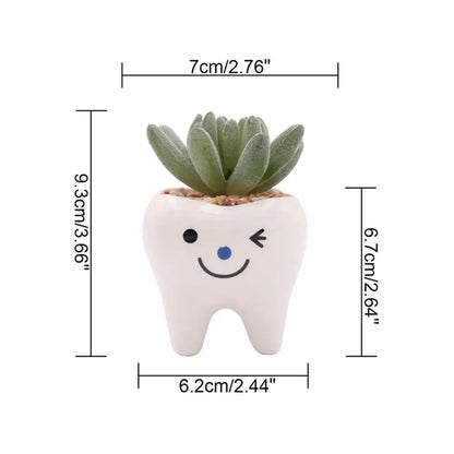 cute tooth flowerpots