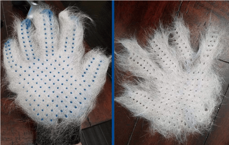 Pet Grooming Glove.