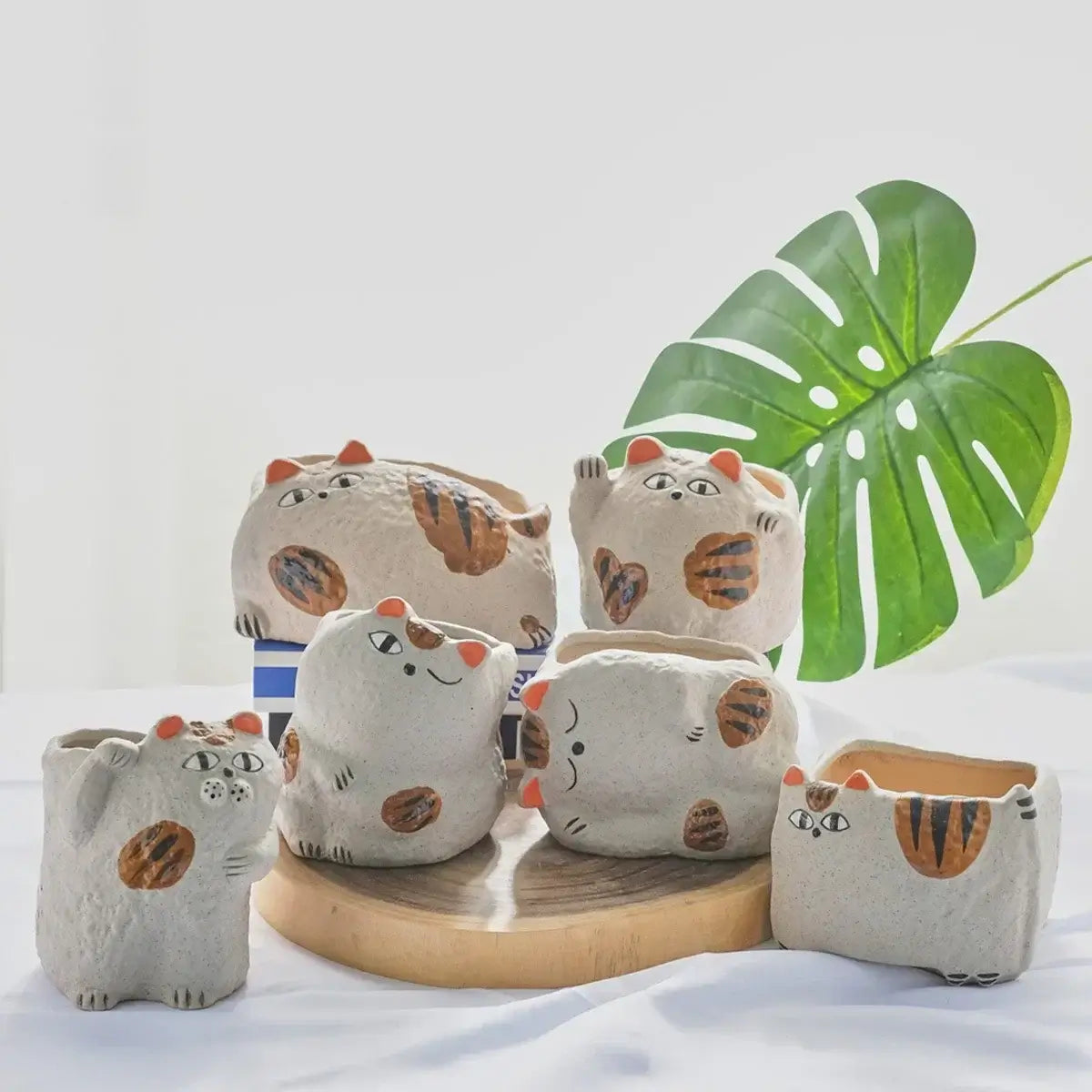 fortune cat succulent flower pot