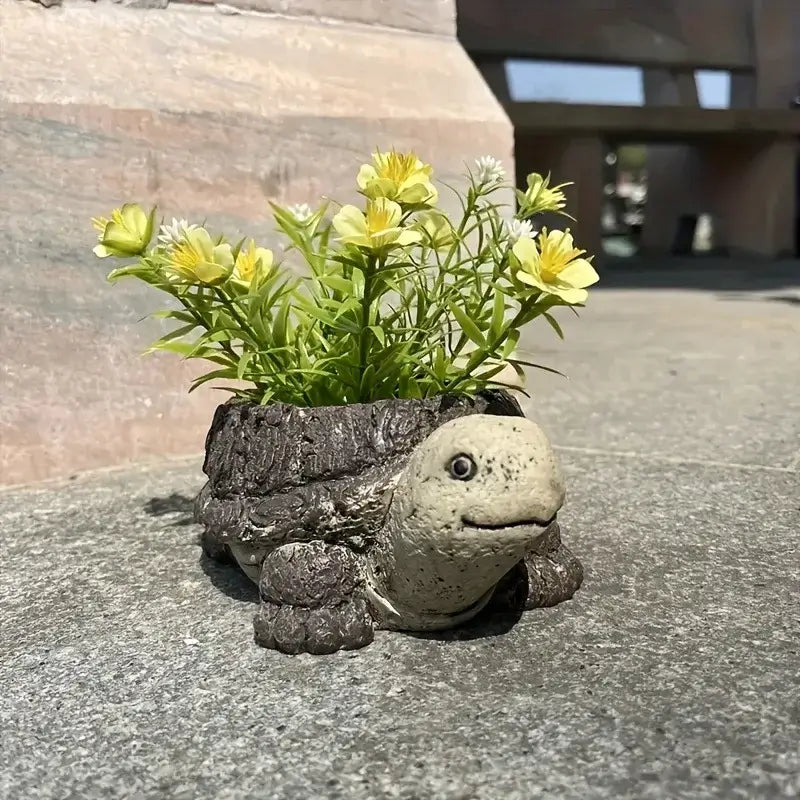 turtle succulent flower pot