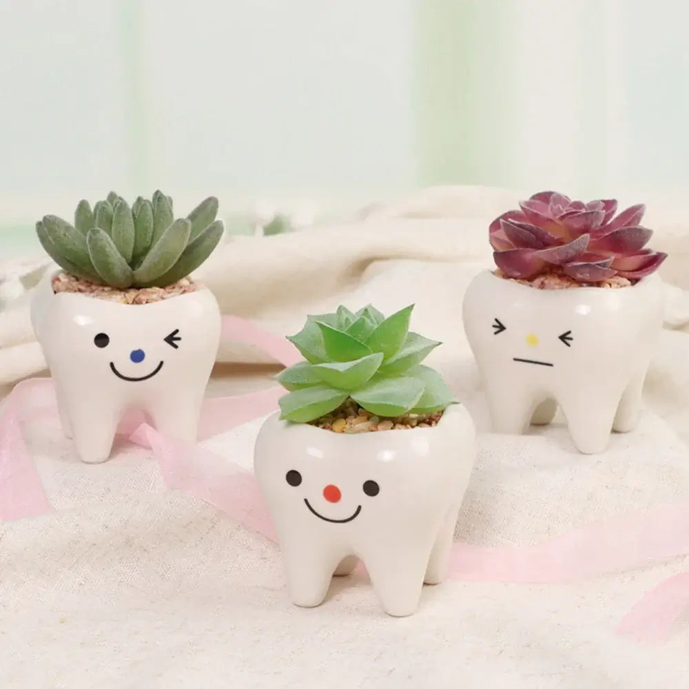 cute tooth flowerpots