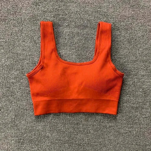 Women Seamless Yoga Set Gym Workout Clothes for Female Push Up Bra