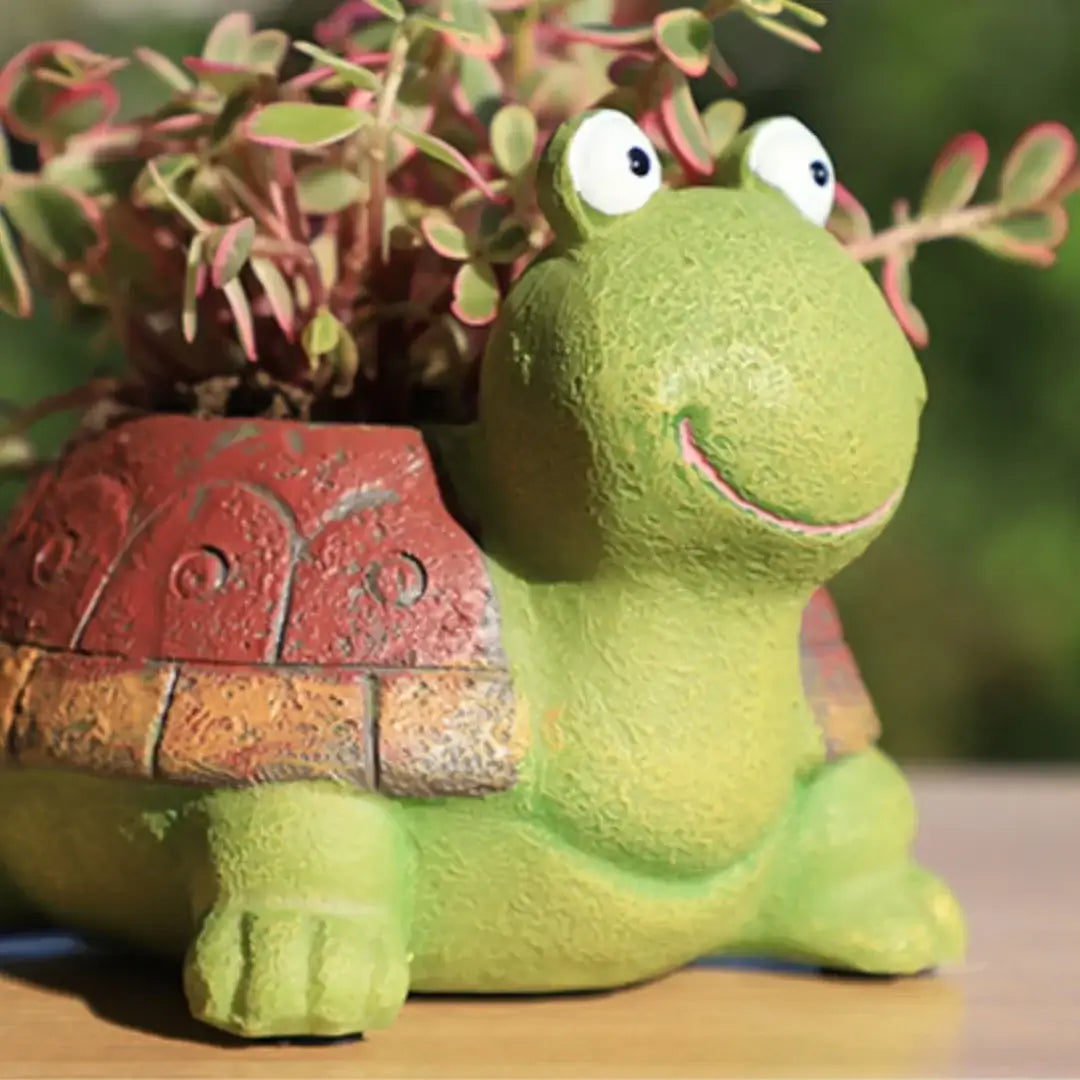 turtle succulent flowerpot