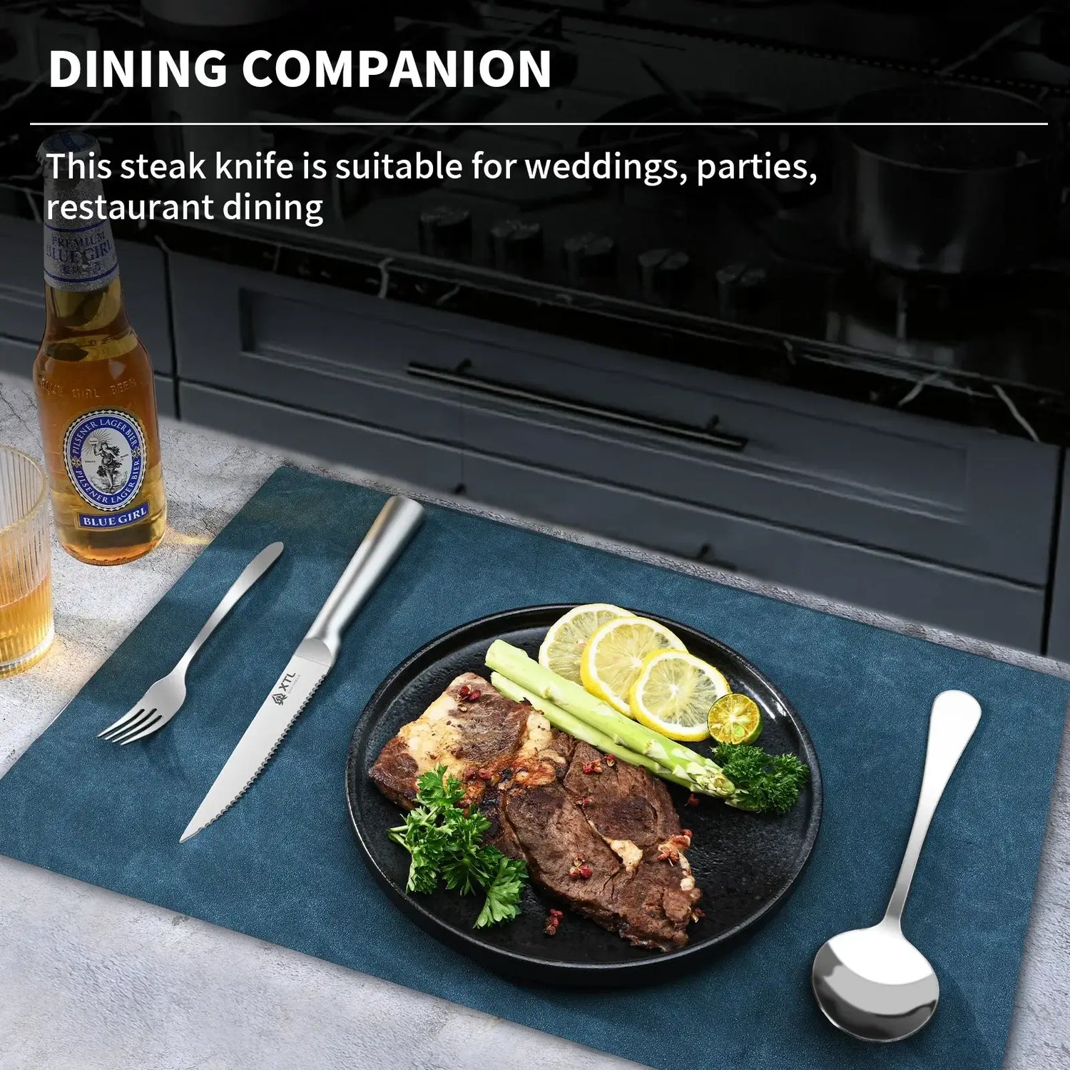 Premium 4/6/8 Pcs Stainless Steel Steak Knife Set