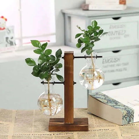 Hydroponic Plant Terrarium Vasevase Decoration Home Glass Bottle.