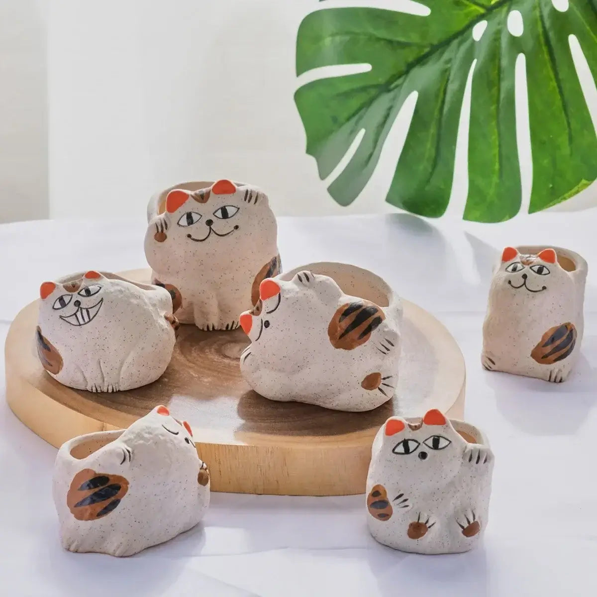 fortune cat succulent flower pot