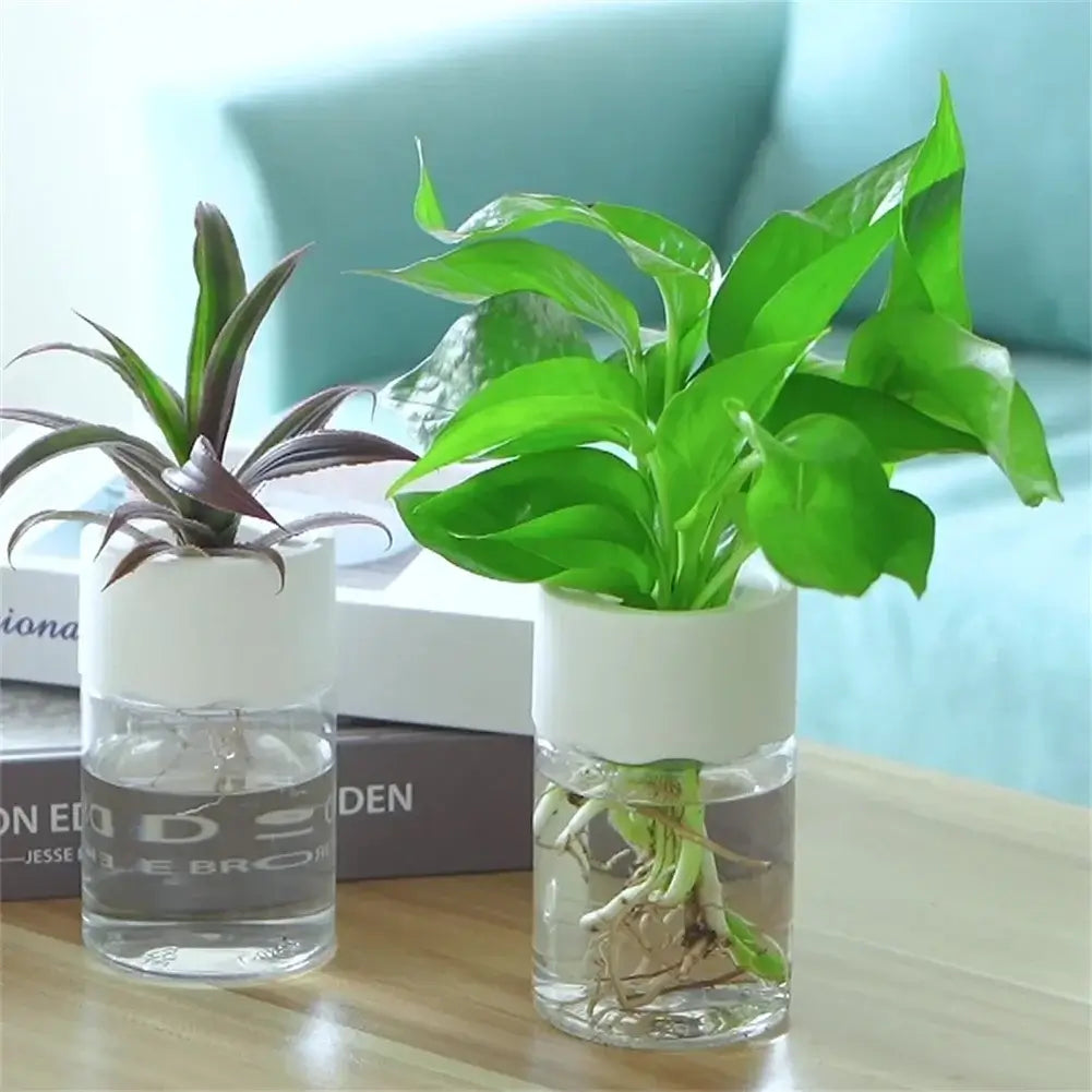 mini hydroponic flower pot