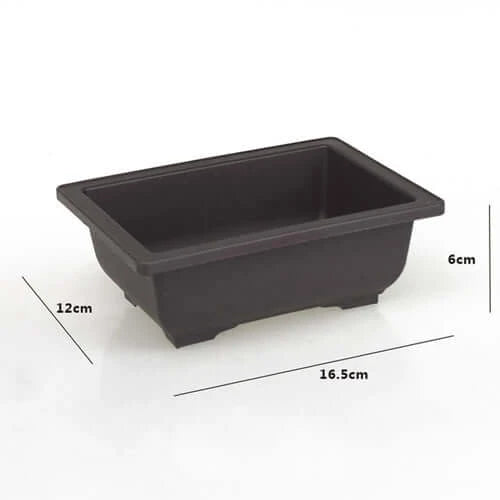 Training Pots With Tray Plastic Bonsai Plants Pot Square For Flower.