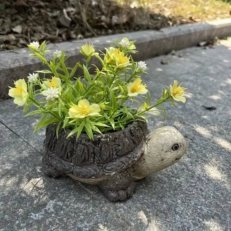 turtle succulent flower pot