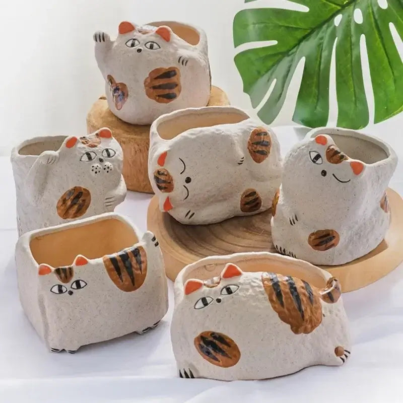 fortune cat succulent flower pot