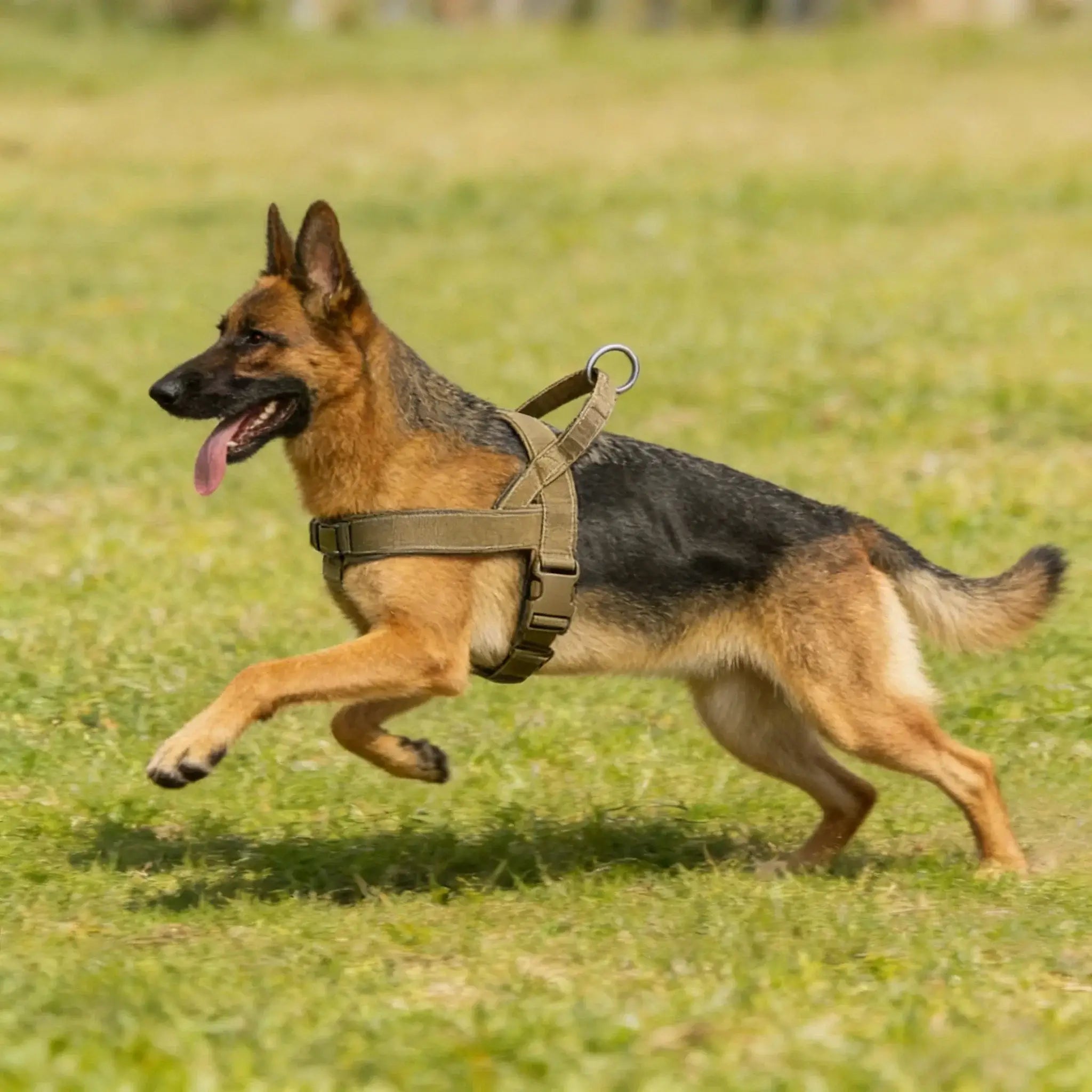 Tactical No-Pull Dog Harness for Large Breed: Heavy-Duty Vest with Reflective Strip, Adjustable &amp; Padded for Control and Pullers