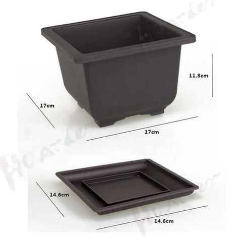 Training Pots With Tray Plastic Bonsai Plants Pot Square For Flower.