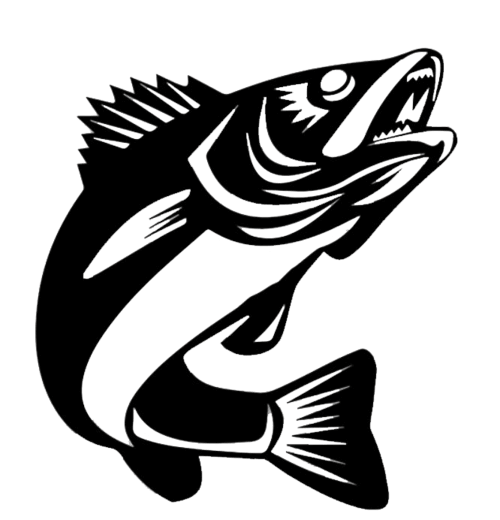 Walleye Fish - Metal Wall Art