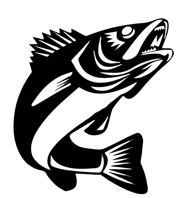 Walleye Fish - Metal Wall Art