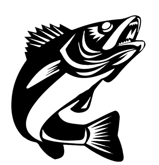 Walleye Fish - Metal Wall Art