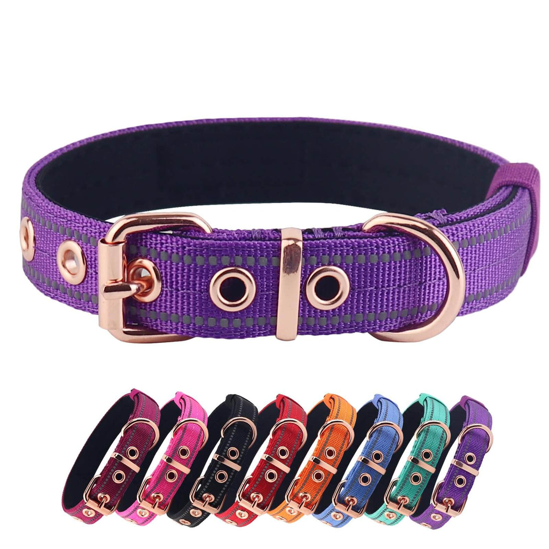 Yunleparks Reflective Neoprene-Padded Dog Collar - Purple, Large