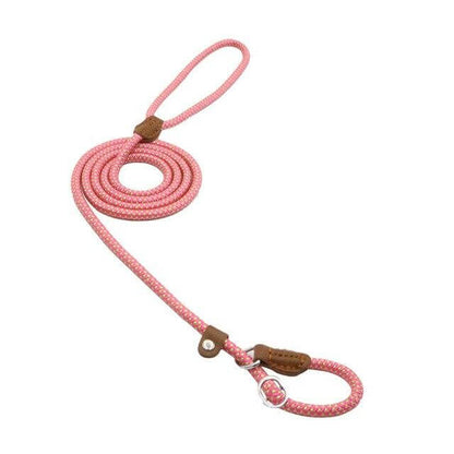 Adjustable Nylon &amp; PU Leather Dog Collar and Leash Set