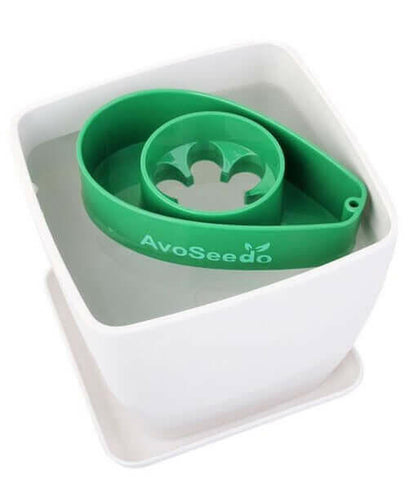 AvoSeedo Plant Pot Set.