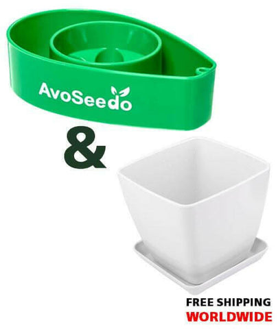 AvoSeedo Plant Pot Set.