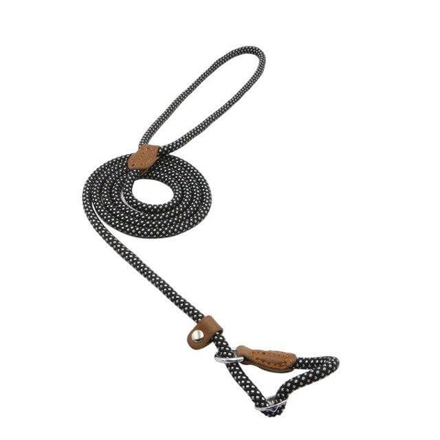 Adjustable Nylon &amp; PU Leather Dog Collar and Leash Set