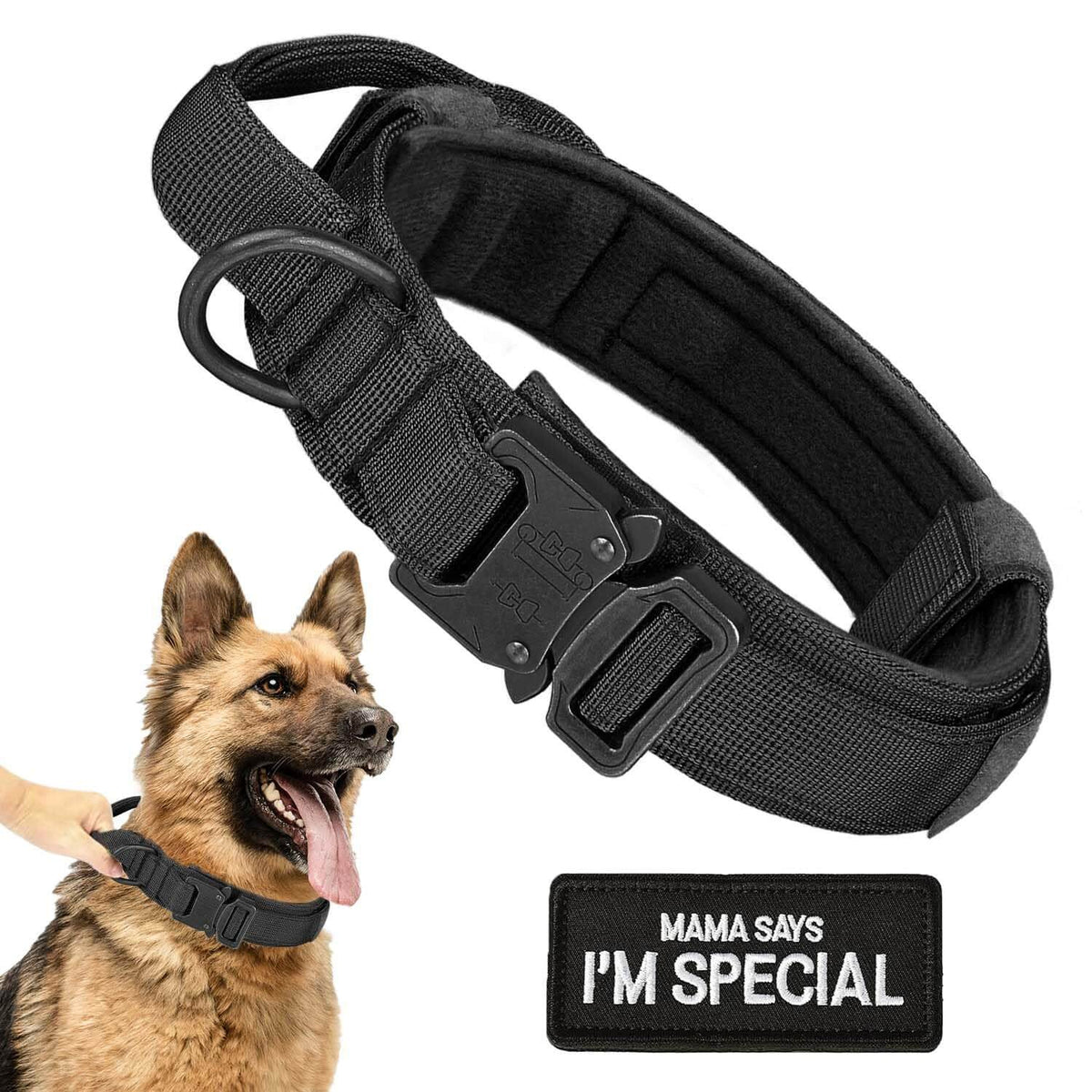Tactical Dog Collar with Handle &amp; Patch - Black, Large