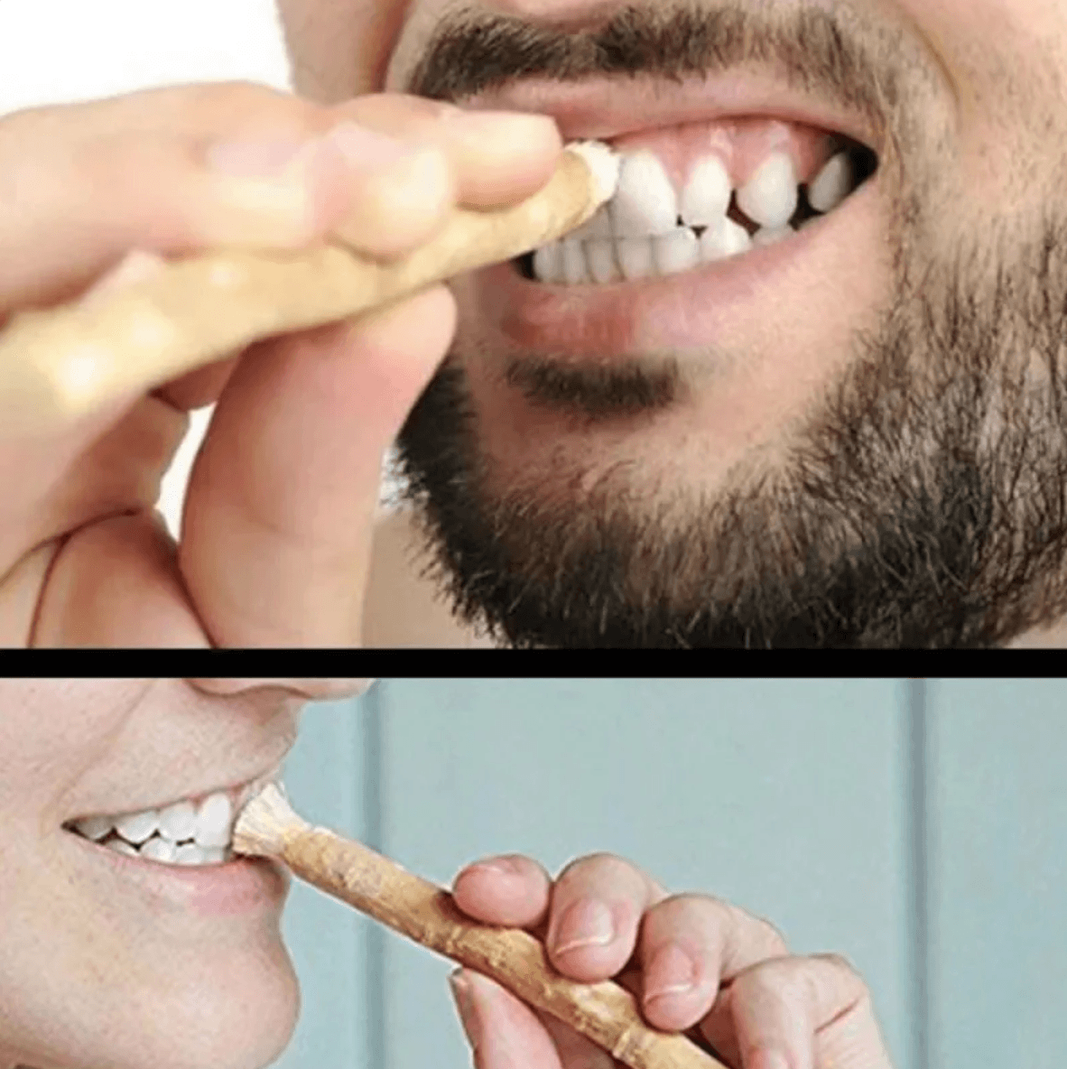 Miswak Tooth Cleaning Stick – 15cm, Single Pack