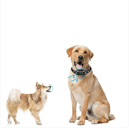 Remote-Control Anti-Bark Dog Collar
