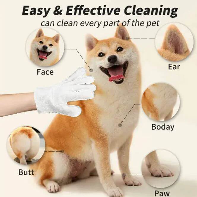 Pet Cleaning Gloves, Wipes &amp; Paw Foam – Assorted Options