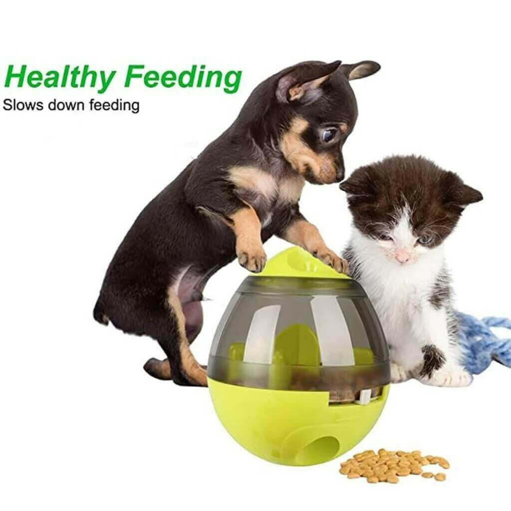 Dogs and Cats Food Dispenser Tumbler.