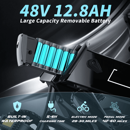 Electric Bike 750W Motor Fat Tire Ebike with Samsung 48V Battery.