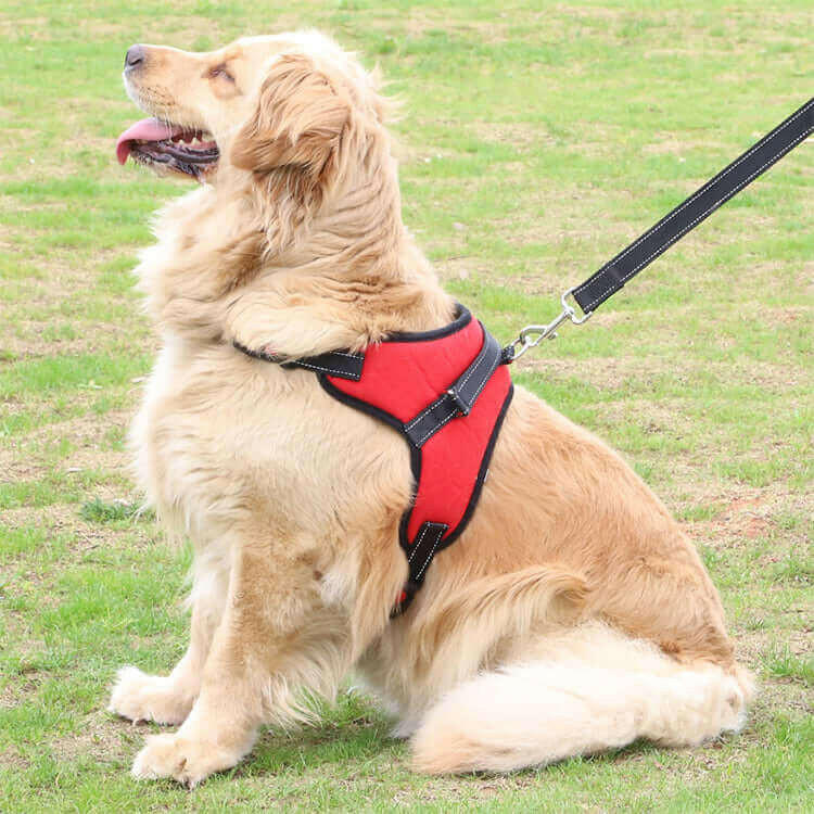 Fast Shipping Adjustable Dog Pet Harness.