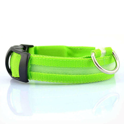 USB RECHARGEABLE LED PET DOG COLLAR.