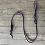 Clamped Climbing Rope Leash Purple.