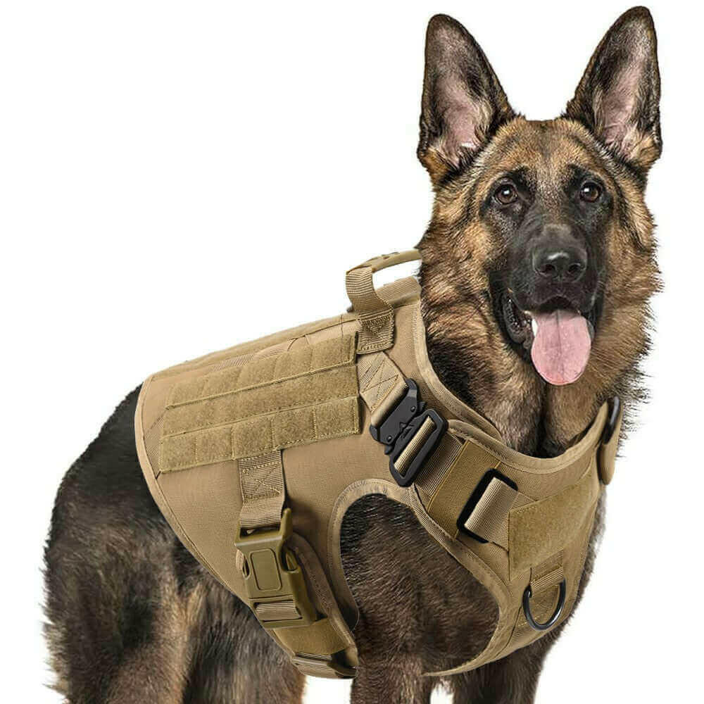 Military Dog Tactical Harness and Leash Set (Brown).